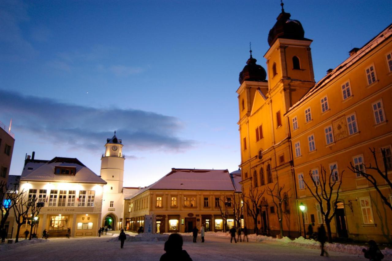Parkhotel Na Baracke Nová Dubnica Buitenkant foto